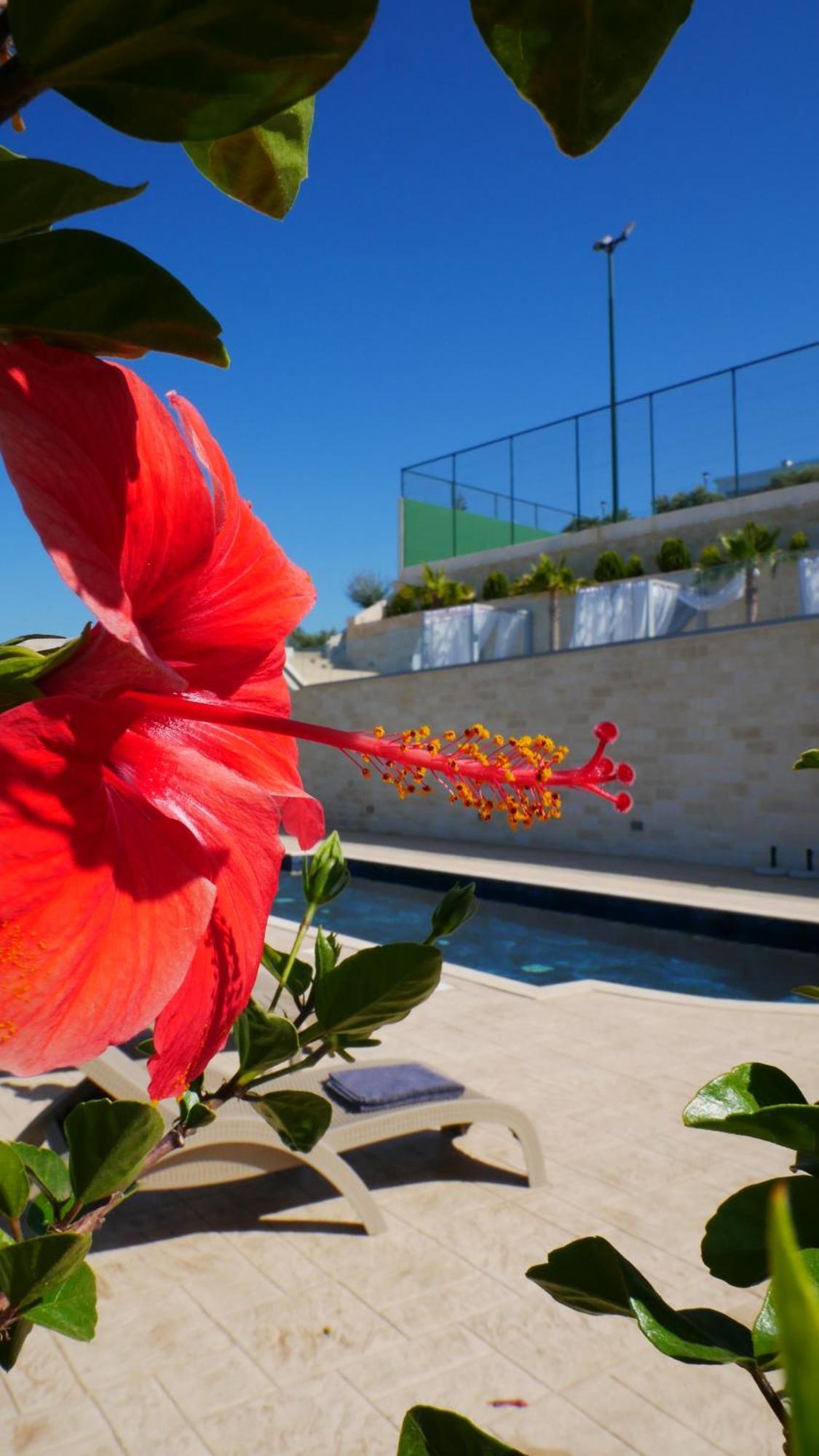 Amour Relax Hotel Almirida エクステリア 写真